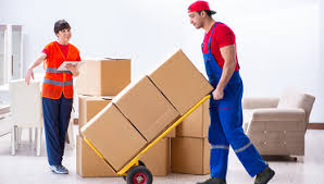 movers and packers in adyar